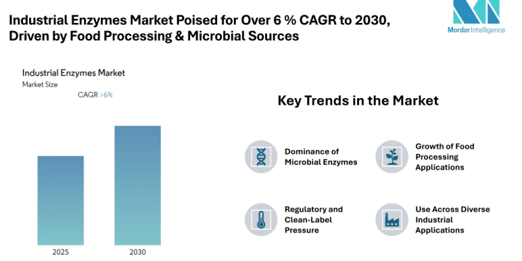 Industrial Enzymes Market Poised for Over 6 % CAGR to 2030, North America Largest, Asia-Pacific Fastest Growing, Driven by Food Processing & Microbial Sources