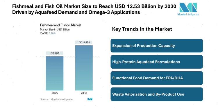 Fishmeal and Fish Oil Market Size to Reach USD 12.53 Billion by 2030, Driven by Aquafeed Demand and Omega-3 Applications