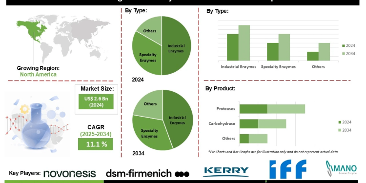 Engineered Enzymes Market Future Prospects Growth Potential and Investment Opportunities