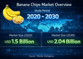 Banana Chips Market Size to Surpass USD 2.04 Billion by 2030 as Health-Oriented Snacking Gains Momentum Worldwide