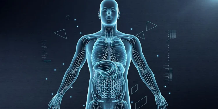 $61.97 Billion by 2029 — How AI-Powered Reconstruction and Spatial Computing Are Transforming Visual Intelligence