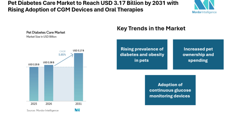 Pet Diabetes Care Market to Reach USD 3.17 Billion by 2031 with Rising Adoption of CGM Devices and Oral Therapies